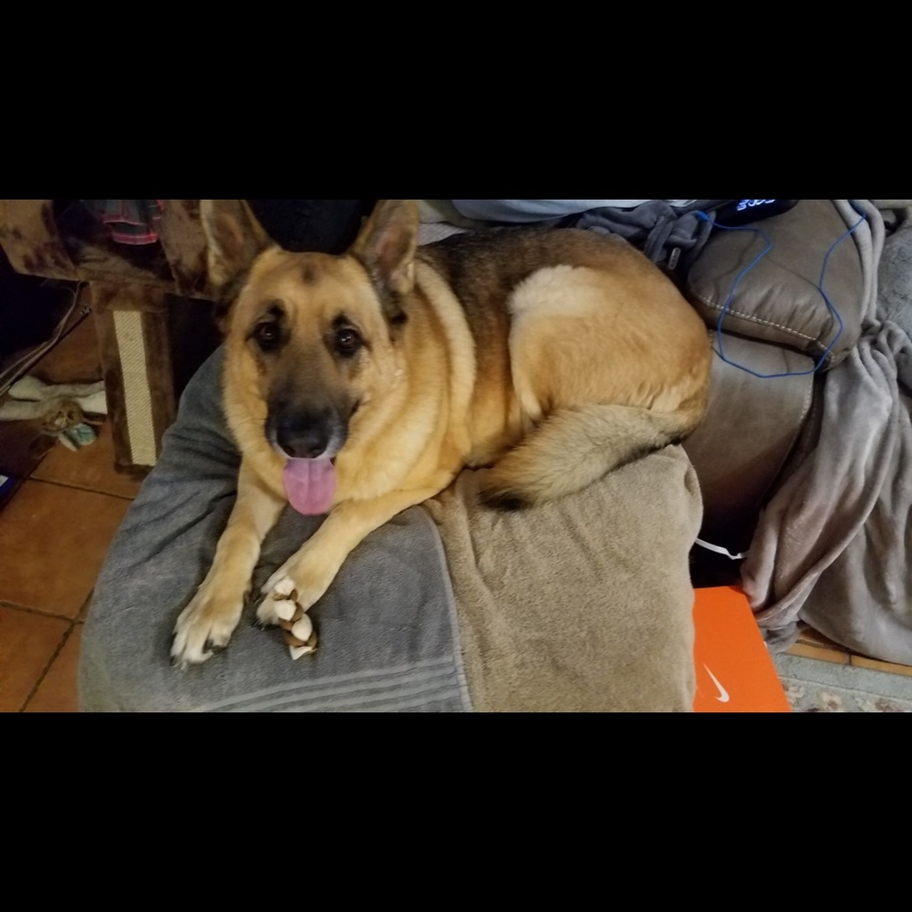 Meet your Posher, Angie